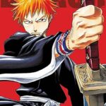 Bleach: 3-In-1 Edition 01