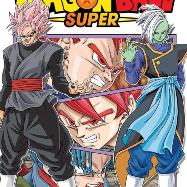 Dragon Ball Super, Vol. 04