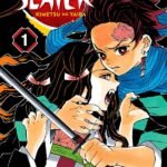 Demon Slayer Vol 1: Comic