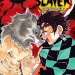 Demon Slayer Kimetsu No Yaiba V04