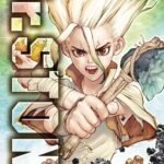 Dr Stone Vol. 01